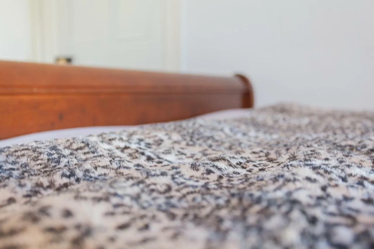 Eurovilla Belfast Guest house